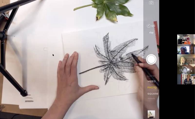 Floral Exploration: Botanical Drawing at Home | Sara Schneckloth