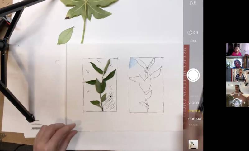 Floral Exploration: Botanical Drawing at Home | Sara Schneckloth Floral Exploration: Botanical Drawing at Home | Sara Schneckloth