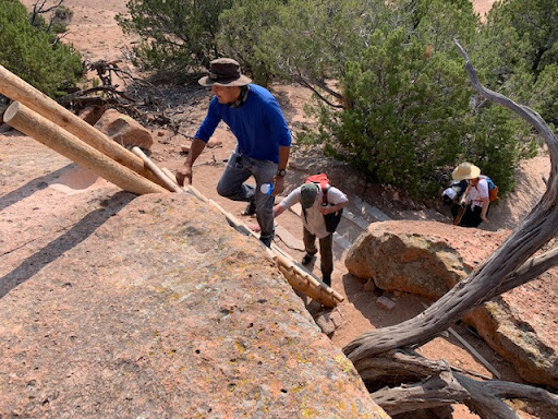 Leisure learners climbing ladder
