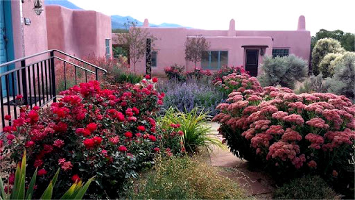 Pink flowers outside Doel Reed Center